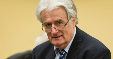 Karadžić: Za rat u BiH krivi su svi osim Srba