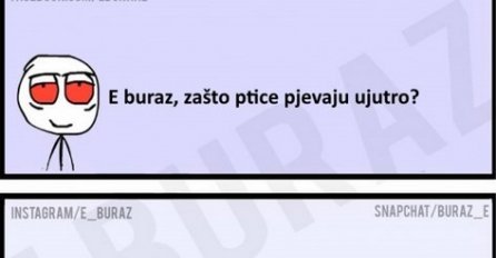 E buraz, zašto ptice pjevaju ujutro?