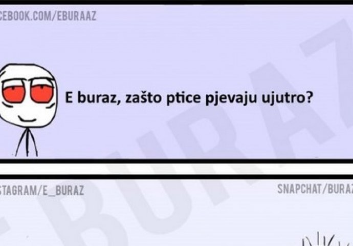 E buraz, zašto ptice pjevaju ujutro?