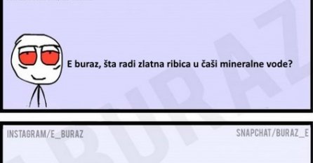 E buraz, šta radi zlatna ribica u čaši mineralne vode?