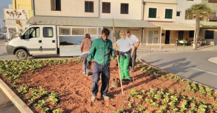 Kamionom zgazili tek posađeno cvijeće, a evo koji je razlog- GRADONAČELNICA SE LOVI ZA GLAVU
