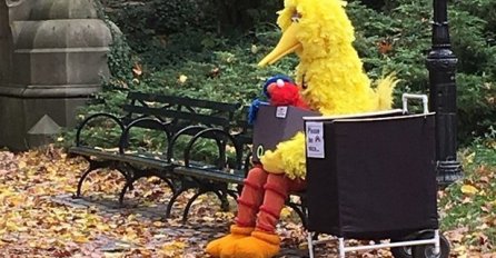 SVAKI MJESEC ROĐENJA IMA SVOJU PTICU, PROVJERITE KOJA JE VAŠA: Ona otkriva sve o vama - NAMA JE POGODILO!