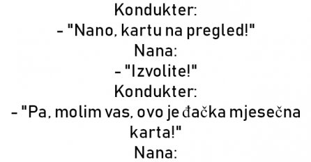 VIC DANA: Nana u autobusu