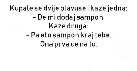 VIC DANA: Šampon
