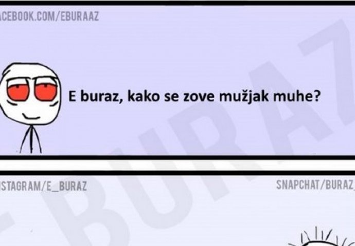 E buraz, kako se zove mužjak muhe?