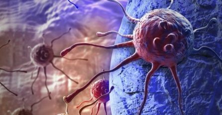 Da su ljudi ZNALI OVO ne bi tako brzo umirali, RAK se dobija od ove DVIJE NAMIRNICE