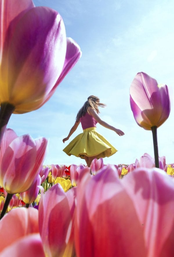 we-photographed-the-netherlands-exploding-in-colorful-tulip-fields-5ae59611e5065-880