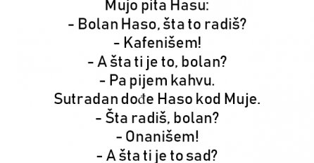 VIC : Mujo pita Hasu: - Bolan Haso, šta to radiš?