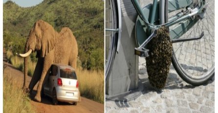 19 ljudi koji su mislili da će imati veliki dan, ali život je odlučio da bude drugačije !