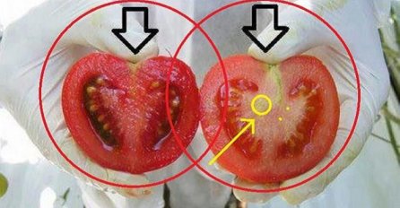 NE JEDITE OTROV! Pogledajte kako prepoznati GMO HRANU U 2 KORAKA! (FOTO)