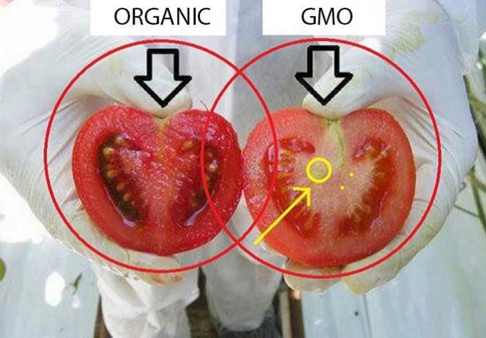 NE JEDITE OTROV! Pogledajte kako prepoznati GMO HRANU U 2 KORAKA! (FOTO)