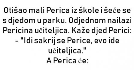 VIC : Otišao mali Perica iz škole i šeće se s djedom u parku. 