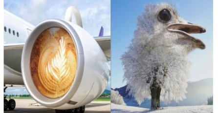 18 ljudi kojim ne treba dozvoliti korištenje photoshopa !