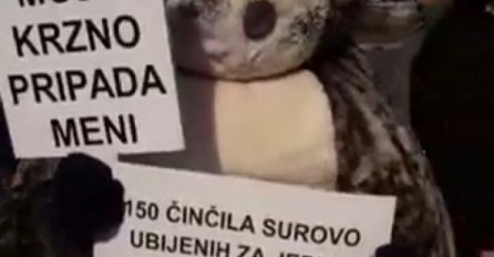 U Budimpešti, Beogradu i Sarajevu održan marš protiv krzna