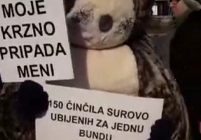 U Budimpešti, Beogradu i Sarajevu održan marš protiv krzna