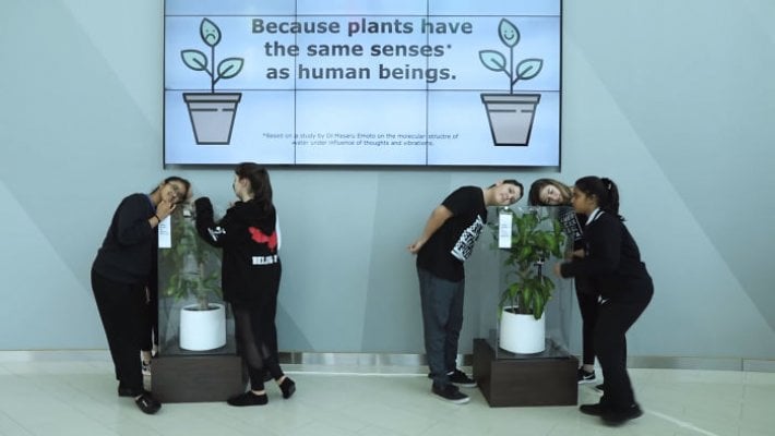 what-happens-when-you-bully-an-ikea-plant-5af02cb66119b-700