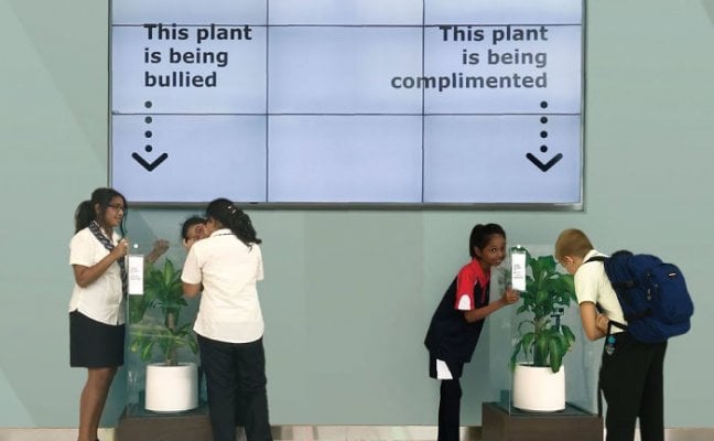 what-happens-when-you-bully-an-ikea-plant-5af0380a2e570-700