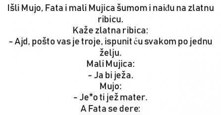 VIC : Išli Mujo, Fata i mali Mujica šumom i naiđu na zlatnu ribicu.