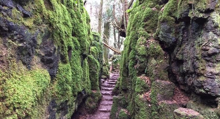 puzzlewood-scowles-copyright-gretta-schfano