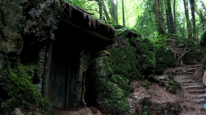 puzzlewood-tour-filming-locations-530-2