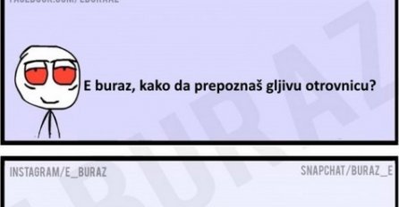 E buraz, kako da prepoznaš gljivu otrovnicu?