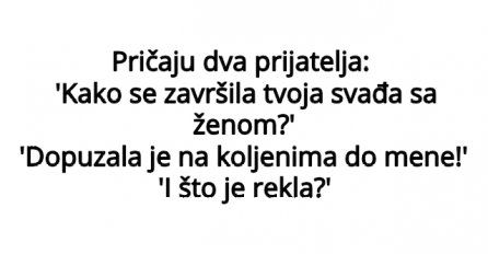 VIC : Pričaju dva prijatelja: