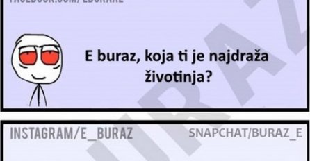 E buraz, koja ti je najdraža životinja?