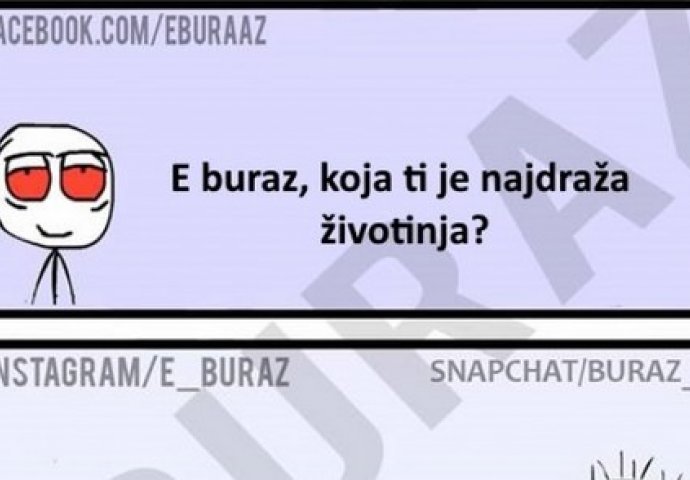 E buraz, koja ti je najdraža životinja?