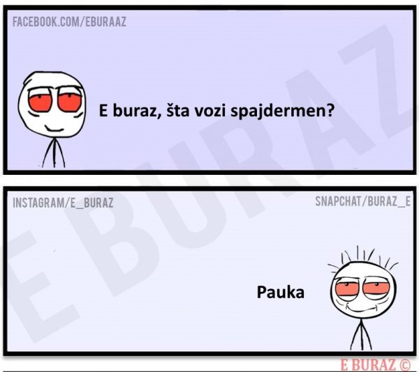 pauka