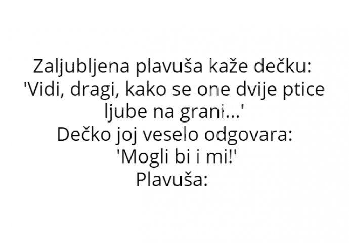 VIC : Zaljubljena plavuša 