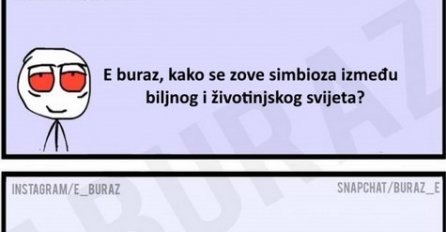 E buraz, kako se zove simbioza između biljnog i životinjskog svijeta?