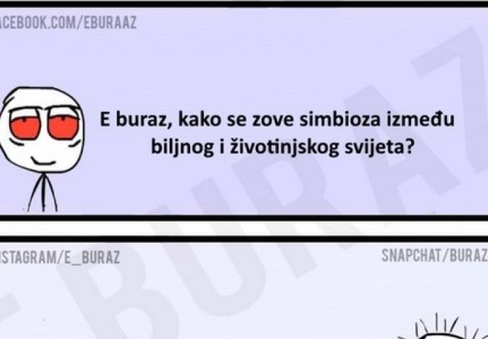 E buraz, kako se zove simbioza između biljnog i životinjskog svijeta?