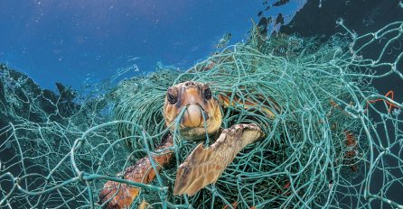 POTRESNE FOTOGRAFIJE: Plastike u okeanima je sve više i prijeti čovječanstvu (FOTO)