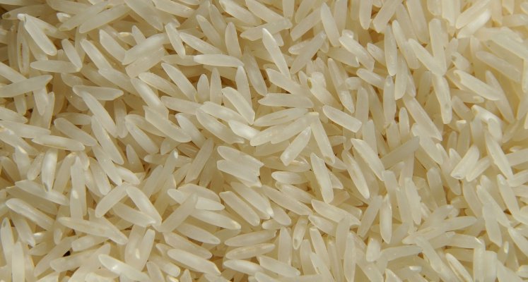 rice
