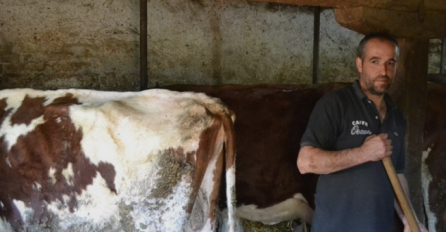 Policija ga je zatvorila jer je vozio neregistrovanu prikolicu: A onda on poslao bizarnu molbu zatvoru!