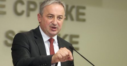 Borenović: Nismo znali da će se Čavić i dio SDS-a priključiti Dodiku