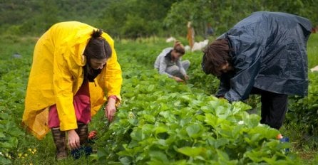 SJAJNA VIJEST ZA NEZAPOSLENE Traže se radnici: Dobar radnik može zaraditi i 1.300 eura