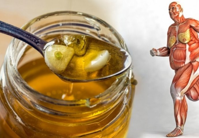 VIŠESTRUKO KORISNO: Evo šta će se dogoditi vašem tijelu ako počnete SVAKI DAN JESTI MED