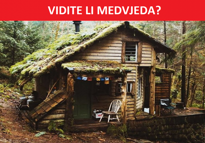 IMATE LI OKO SOKOLOVO? Kladimo se da ne možete pronaći sve životinje na OVIM FOTOGRAFIJAMA!