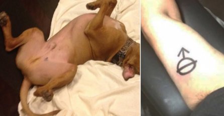 KAKVA GREŠKA: Istetovirao znak koji je vidio na svom psu, kada vidite šta znači PLAKAT ĆETE OD SMIJEHA