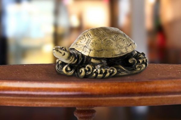 226073-675x450-feng-shui-turtle-on-table