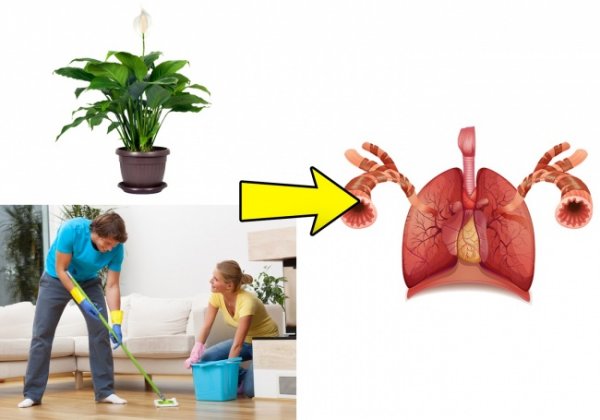 20173010-23761910-img3-0-1519284108-1519284111-1500-1-1519284111-650-f851a539d7-1519806953