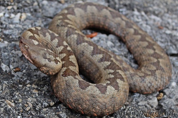 30434863932-0f8bbe4714-b