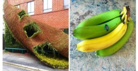 Fotografije koje će vam donijeti osmijeh na lice ili ostaviti upitnik u vašim glavama