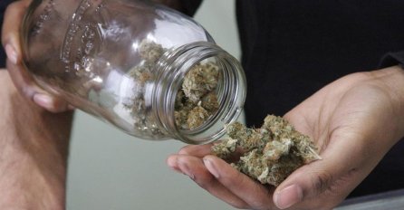 Kanada vrši posljednje pripreme za legalizaciju kanabisa