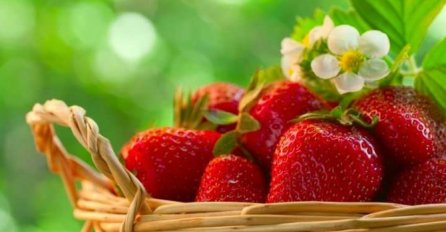 Ovo voće doprinosi spriječavanju ozbiljnih oboljenja: Evo zašto još treba da jedete jagode svaki dan