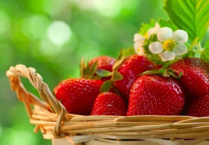 Ovo voće doprinosi spriječavanju ozbiljnih oboljenja: Evo zašto još treba da jedete jagode svaki dan
