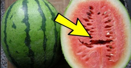 VIŠE NIKADA NEĆETE POGRIJEŠITI: Evo kako da odabrete savršenu lubenicu