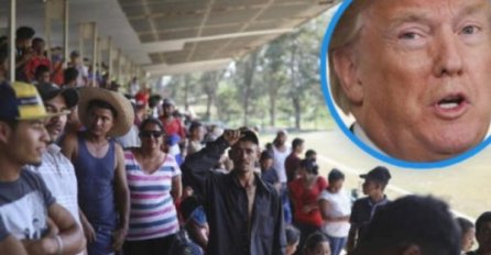 Pretekla Njemačku: Amerika 2017. dobila najviše zahtjeva za azil među svim razvijenim državama