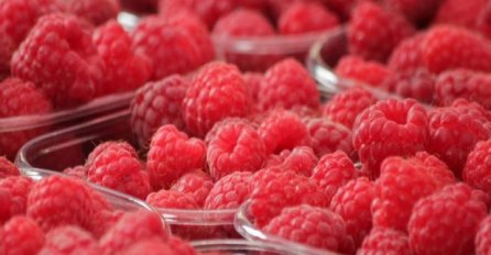 MALINARSTVO PRED KOLAPSOM/ Predsjednik Udruženja poljoprivrednika FBiH za Novi.ba: Malinarima niko ne želi pomoći, doći će do gašenja velikog broja radnih mjesta 